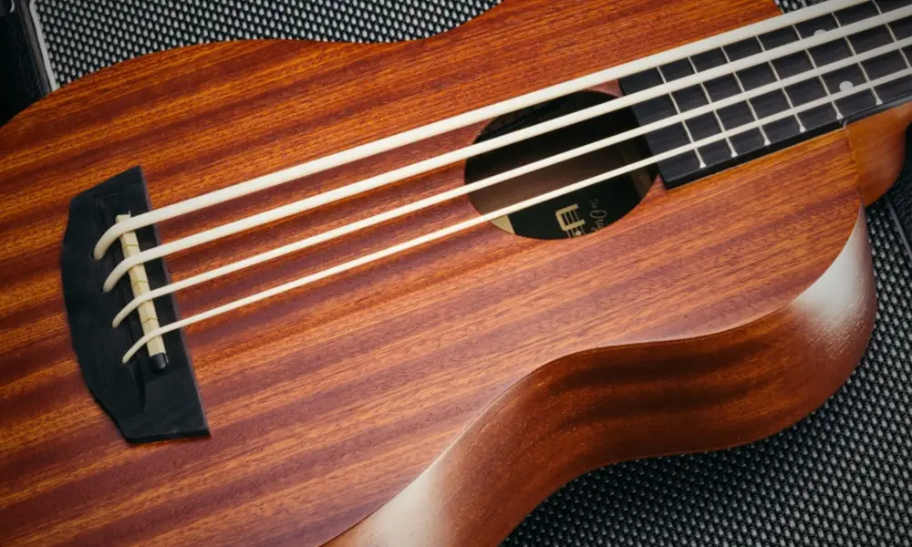 best amp for ukulele