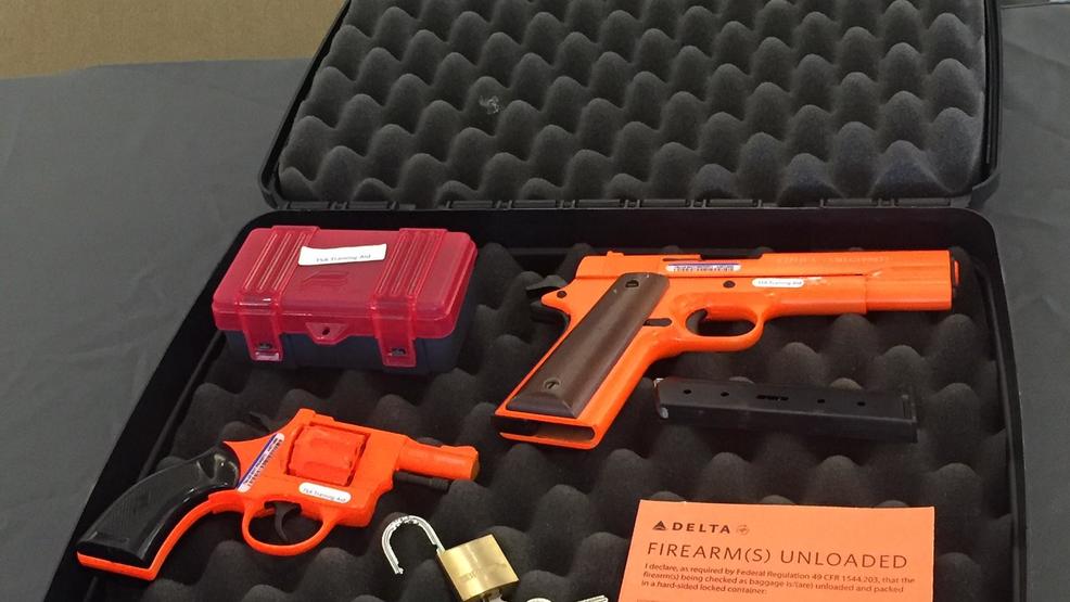 Top 10 Tsa Approved Gun Case Reviews & Comparison