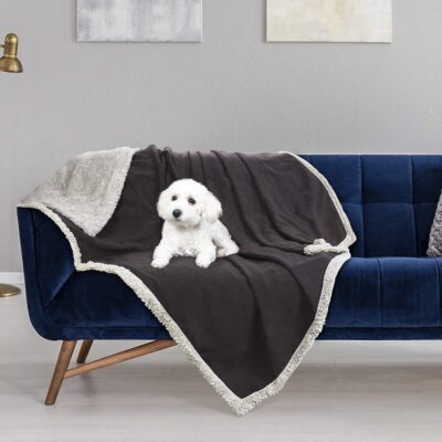 Best Pet Blanket For Couch
