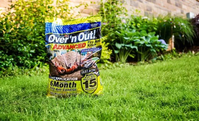 best treatment for ants in yard