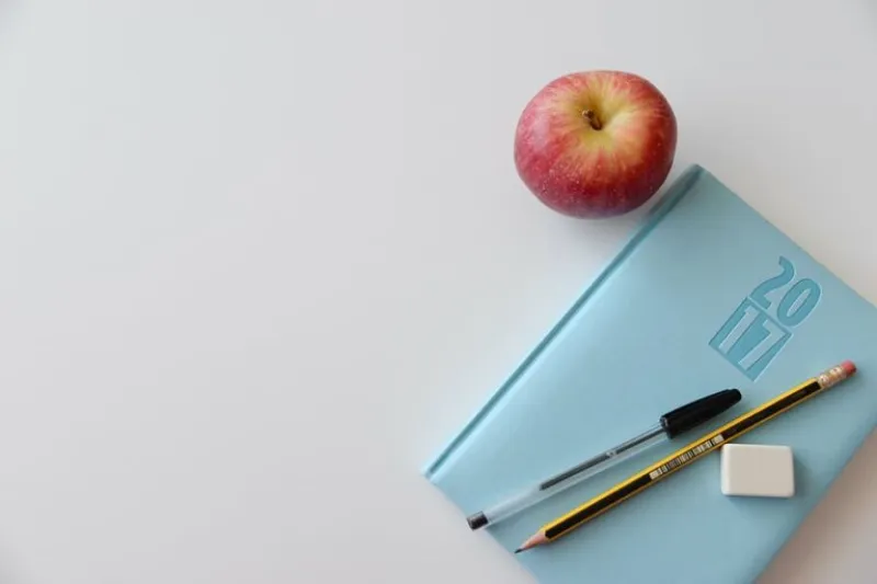 Apple Pencil Nib