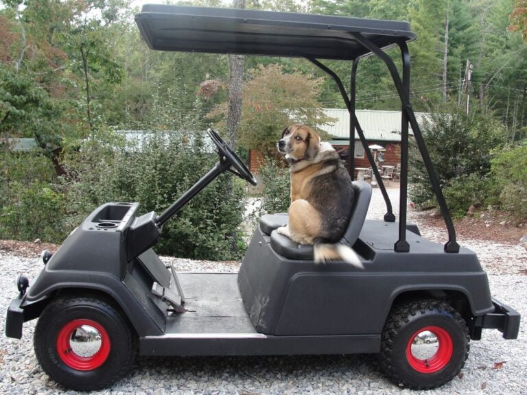 Top 15 Best Golf Cart Windshield Hinge Comparison 2023