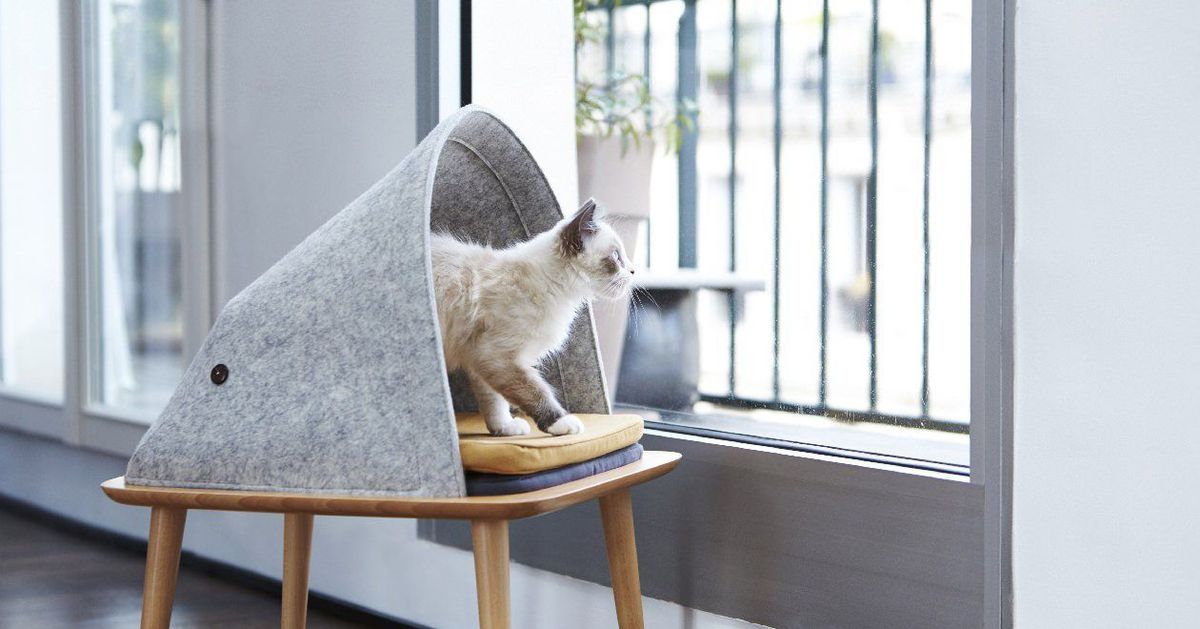 Top 10 Best Automatic Cat Scratcher Reviews 2024