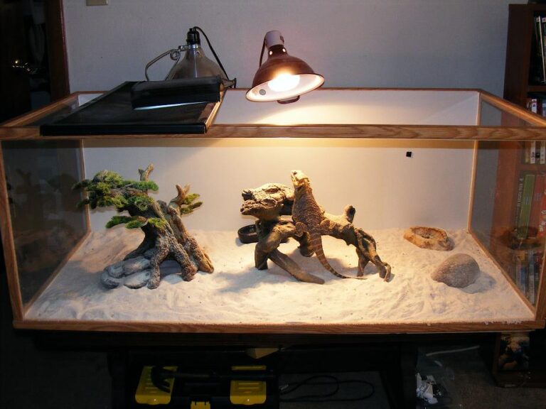 Top 15 Best Battery Powered Heat Lamp For Reptiles Reviews 2024