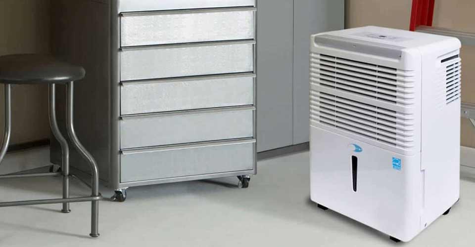 best 50 pint dehumidifier 