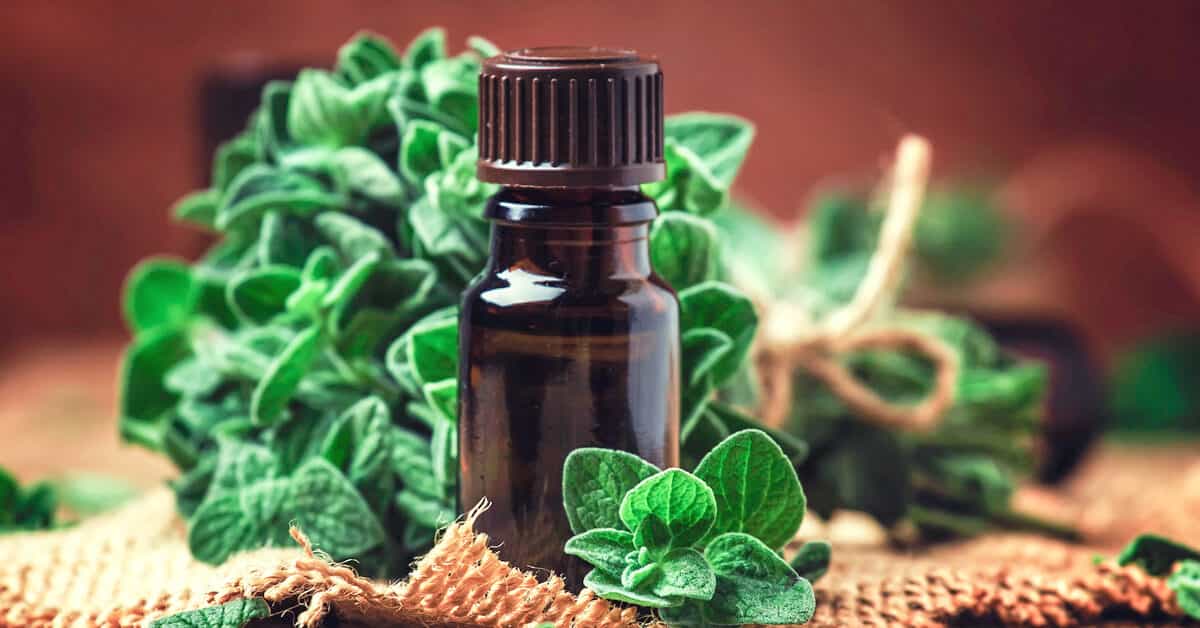 Best Oil Of Oregano Whole Foods: Oregano Essential Oil That Might Surprise You! 1 5766 Oregano Oil 1200x628 Facebook 1200x628 min