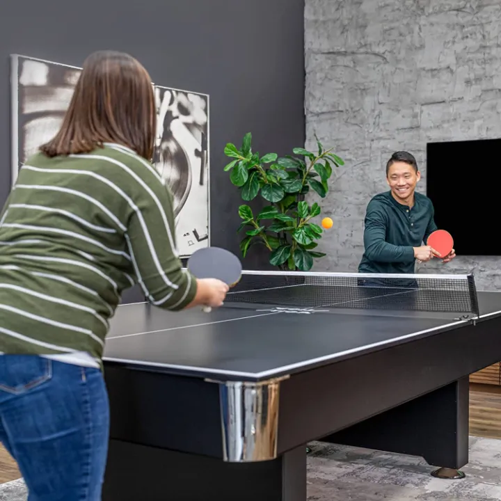 Best Table Tennis Conversion Top