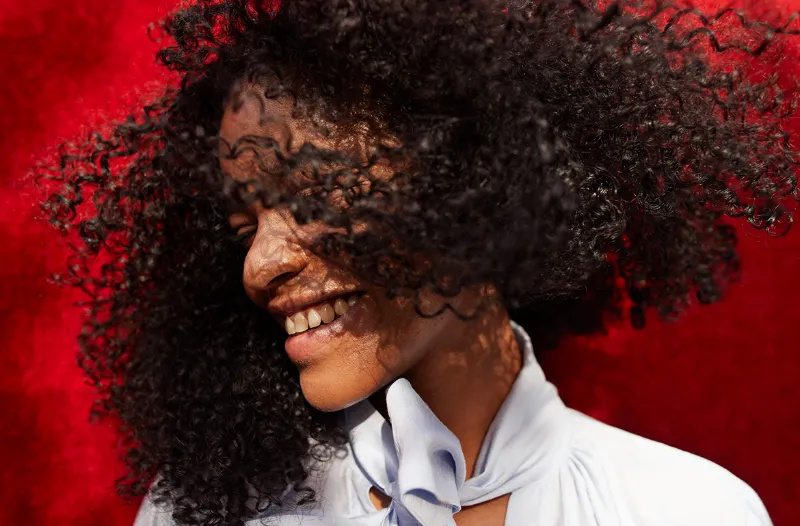What Hair Dryers Fit The Black Orchid Diffuser? - Tips & Guides 1 What Hair Dryers Fit The Black Orchid Diffuser