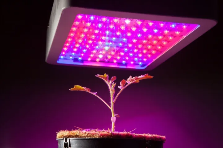 best led grow lights