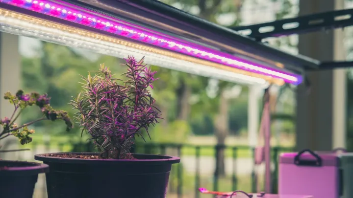 best led grow lights