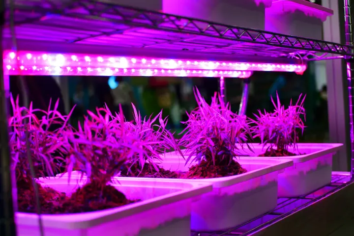 best led grow lights