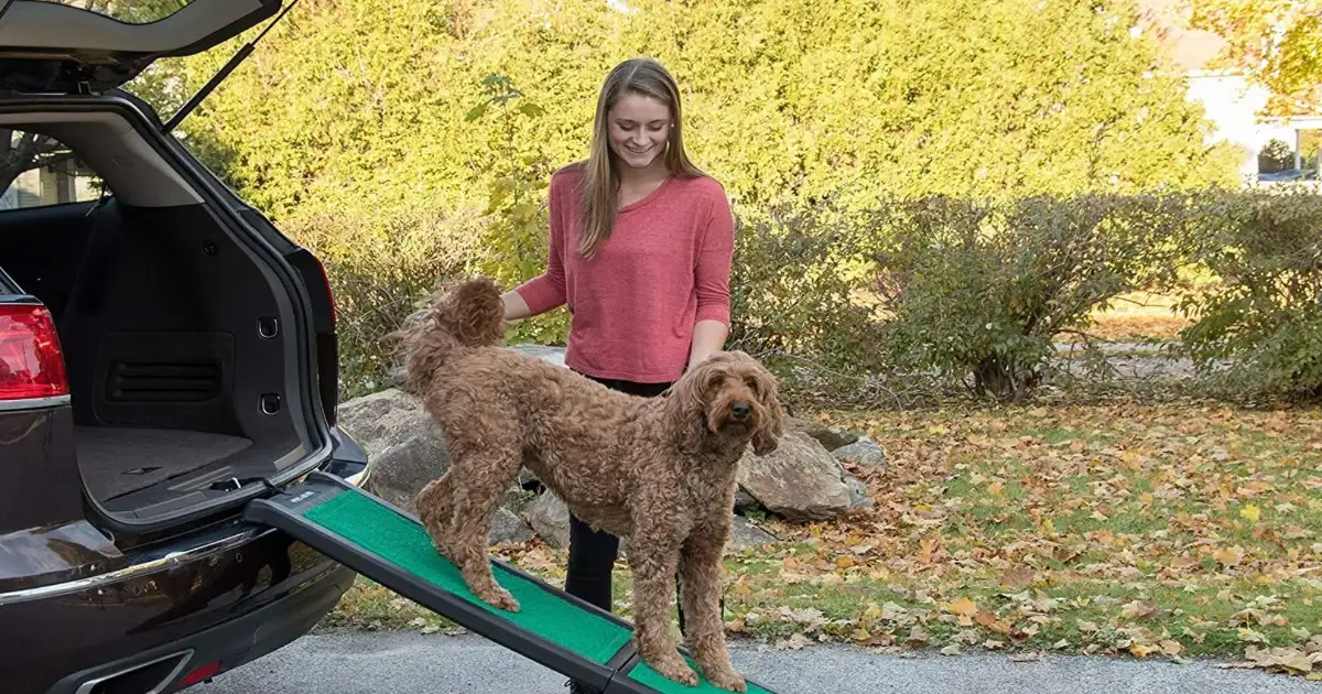 Top 10 Best Dog Ramps Car Reviews & Comparison 2024