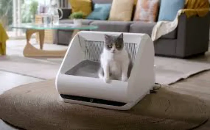 best automatic cat litter boxes