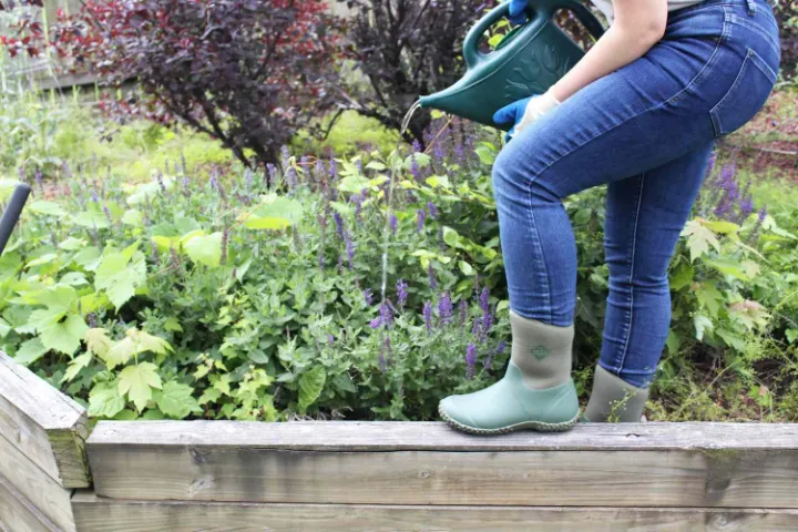 best gardening shoes