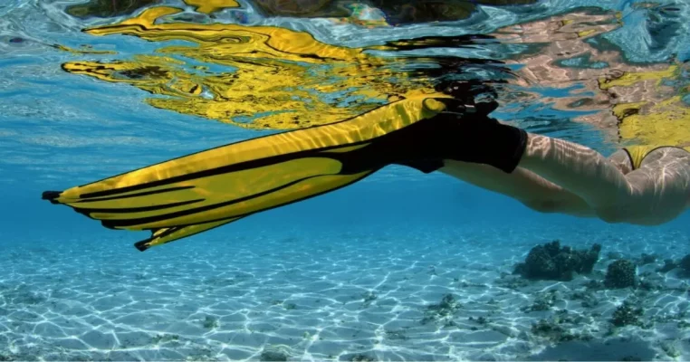 Home - Forbiddenbroadway 24 best snorkeling fins for big feet