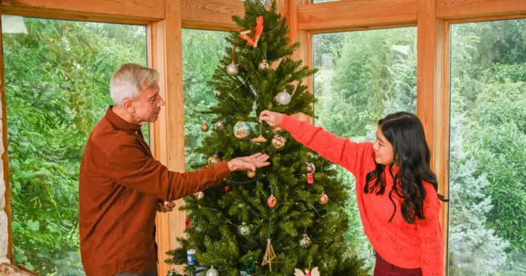 Home - Forbiddenbroadway 29 best artificial christmas tree