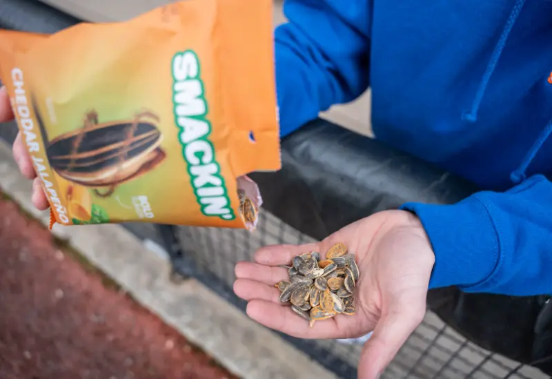 A Comprehensive Review Of Smackin' Sunflower Seeds: Revolutionizing The Snacking Industry 3 RFA65ABL5NFLLF2PHLBH6AAS6Y
