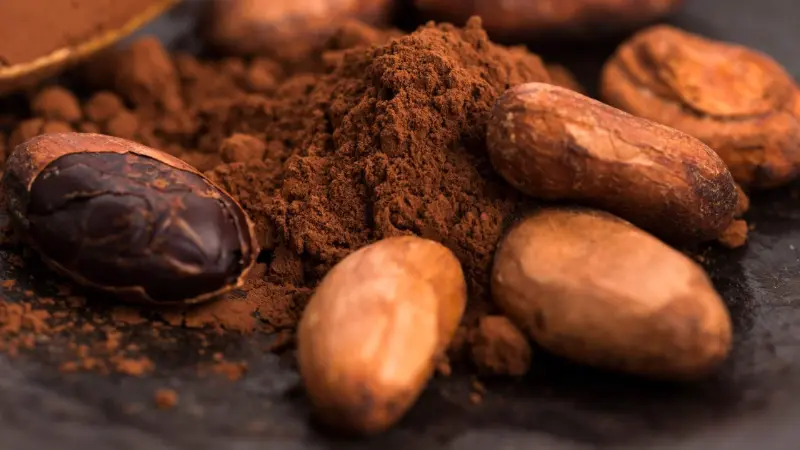Cacao Powder Nature s Chocolate Superfood