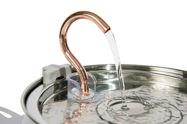 is kittyspout worth it faucet design 1024x683 1